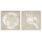 Stupell Industries Rustic Abstract Seashells 2pc Framed Giclee Wall Art Set Design by Carol Robinson